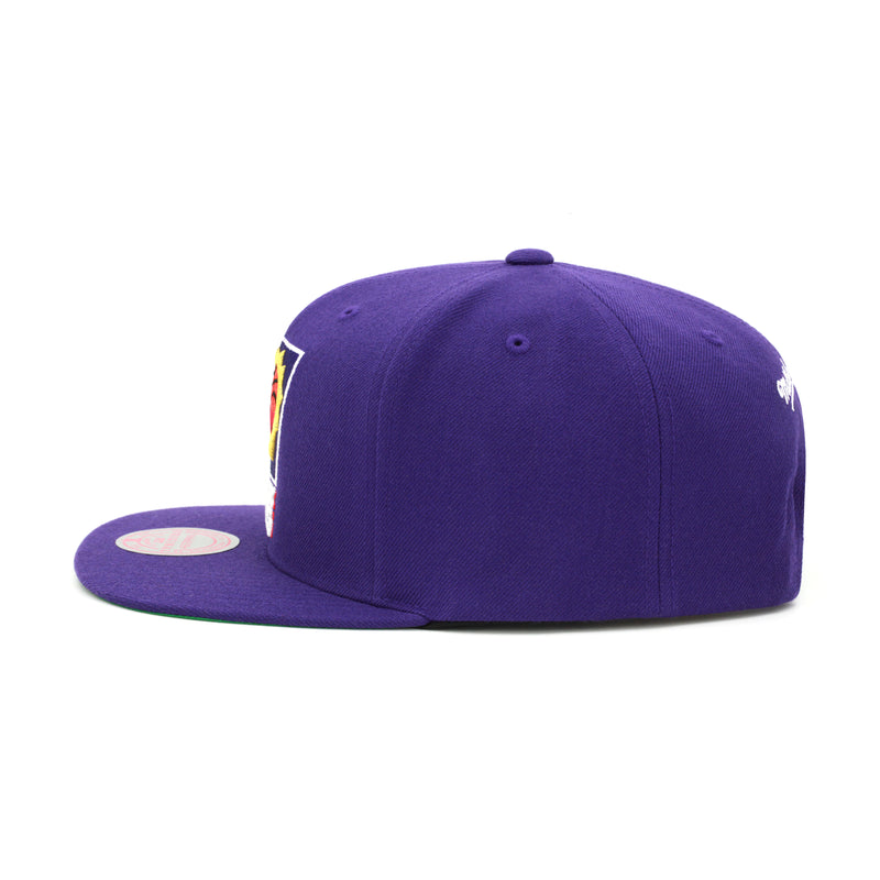 Phoenix Suns Mitchell & Ness Snapback Hat Purple