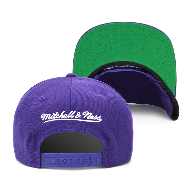 Toronto Raptors Mitchell & Ness Snapback Hat - Purple