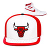 Chicago Bulls Mitchell & Ness Snapback Hat For Jordan 1 Retro Metallic Red
