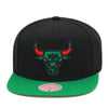 Chicago Bulls Mitchell & Ness Snapback Hat Black/Green/Red