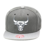 Chicago Bulls Mitchell & Ness Snapback Hat for Jordan 11 Retro Cool Grey
