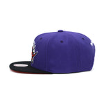 Toronto Raptors Mitchell & Ness 2-tone Classic Snapback Hat Purple/Black