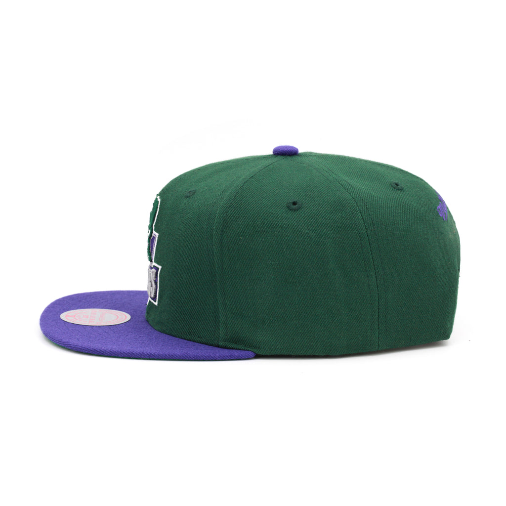 Milwaukee Bucks Mitchell & Ness Team 2-tone 2.0 Snapback Hat Green/Purple