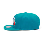 Charlotte Hornets Mitchell & Ness Team Ground 2.0 Snapback Hat Teal