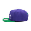 New Orleans Jazz Mitchell & Ness Team 2-tone 2.0 Snapback Hat Purple/Green