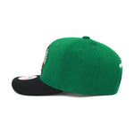 Boston Celtics Mitchell & Ness Flexfit Curved Brim Snapback Hat Green/Black
