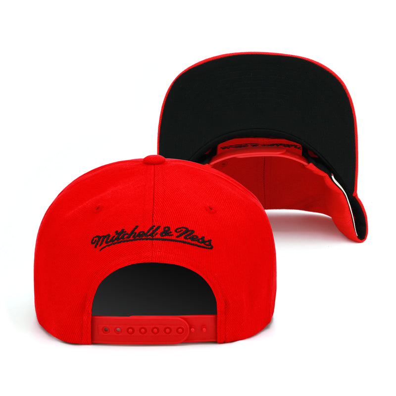 Vancouver Grizzlies Mitchell & Ness Snapback Hat for Jordan 4 Retro Toro Bravo