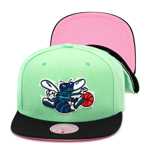 Charlotte Hornets Mitchell & Ness Snapback Hat Pastel Green/Pink Bottom