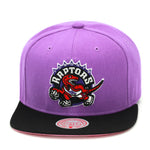 Toronto Raptors Mitchell & Ness Snapback Hat Pastel Purple/Pink Bottom