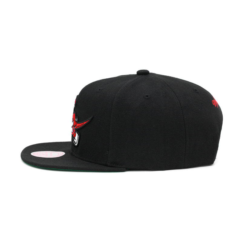 Toronto Raptors Mitchell & Ness Core Basic Snapback Hat Black