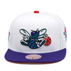 Charlotte Hornets 1991 All Star Game Mitchell & Ness Snapback Hat White/Purple