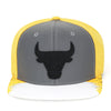 Chicago Bulls Mitchell & Ness Snapback Hat For Jordan 5 Retro Tokyo T23