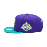 New Orleans Hornets All Star 2008 Mitchell & Ness Snapback Hat Purple/Teal