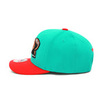 Vancouver Grizzlies Mitchell & Ness Flexfit Curved Brim Snapback Hat Teal/Red