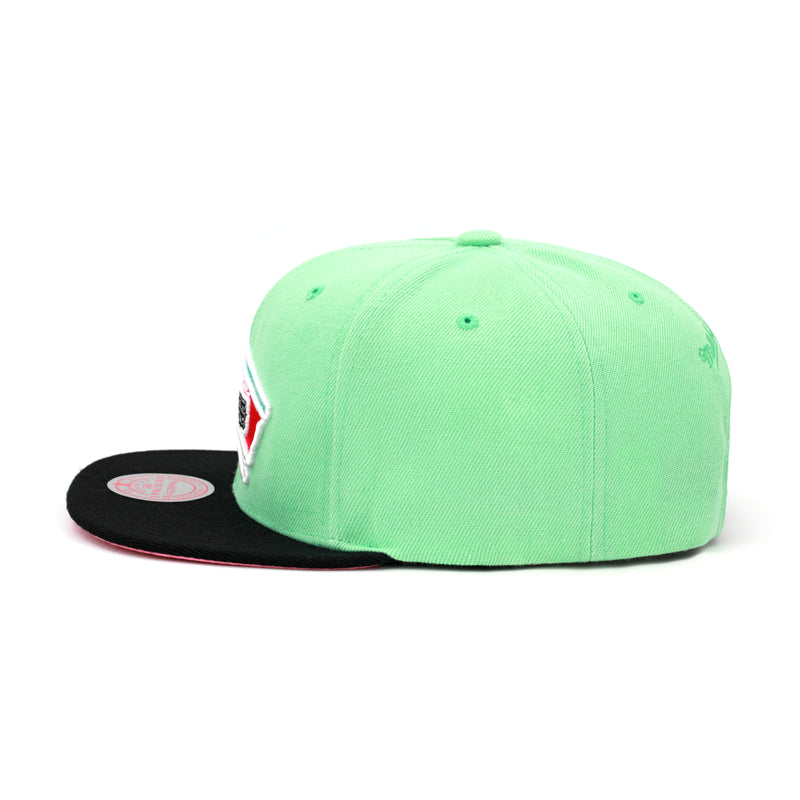 San Antonio Spurs Mitchell & Ness Snapback Hat Pastel Green/Pink Bottom