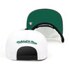 Chicago Bulls Mitchell & Ness Snapback Hat For Jordan 1 Retro High Pine Green