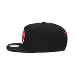 Brooklyn Nets Mitchell & Ness Snapback Hat for Jordan 11 Retro Playoffs Bred
