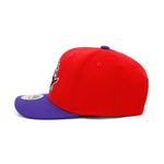 Toronto Raptors Mitchell & Ness Flexfit Curved Brim Snapback Hat Red/Purple