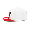 Chicago Bulls Mitchell & Ness Snapback Hat White/Red/Green Bottom